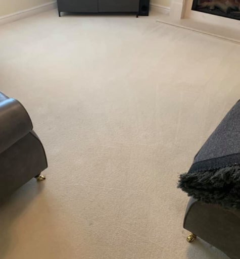best carpet cleaning in fortitude valley
