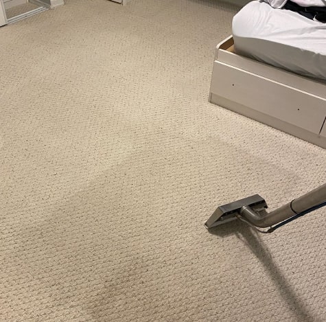 carpet cleaning service in fortitude valley