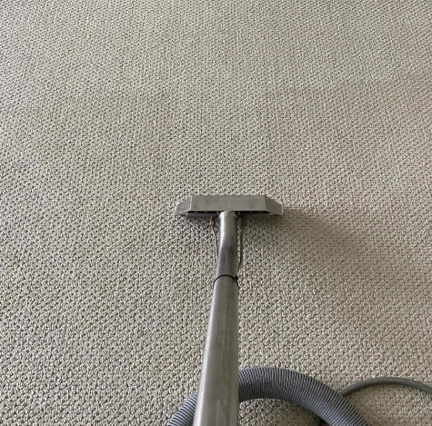 expert carpet cleaning in fortitude valley