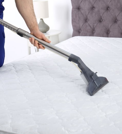local mattress cleaning service in fortitude valley